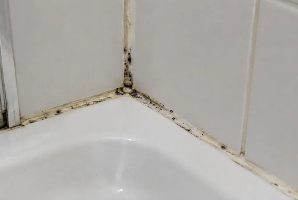 Kitbedrijf Maarssen – beschimmelde kitranden